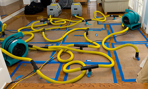 Professional Structural Drying And Dehumidification technician working in Kipton, OH